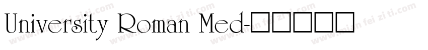 University Roman Med字体转换